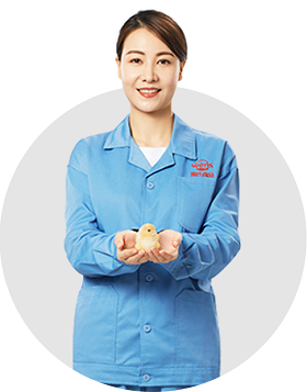 888集团电子游戏(中国游)有限公司官网